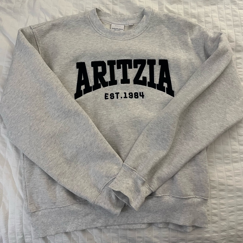 Aritzia TNA perfect crewneck